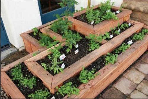 Планировка сада и огорода по сторонам света. Площадь и расположение участка