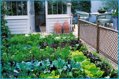 Функциональное зонирование дачного участка. Грамотное и красивое зонирование приусадебного участка