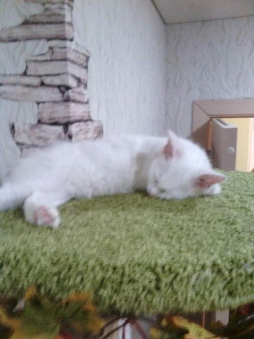 Заказчик всё держал под своим контролем, не на секунду не отходил. 04