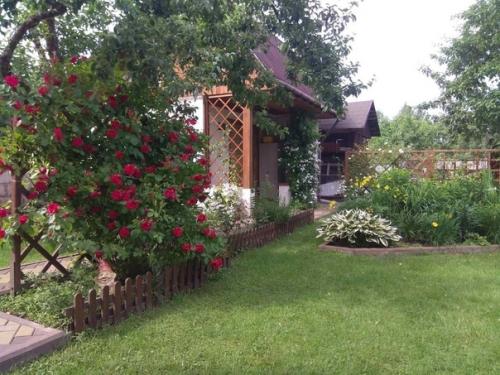 Приобрели полуразрушенную халупу. 06