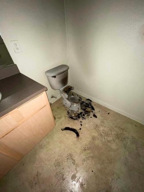 Как невероятно!  Молния в ведро внутри дома попала.