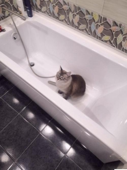 Так получилось, что пришлось в нашей новой квартире заново делать ванную комнату. 04