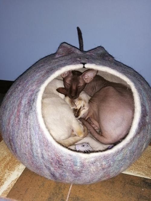 Вот немножечко снимков моей квартиры. 05