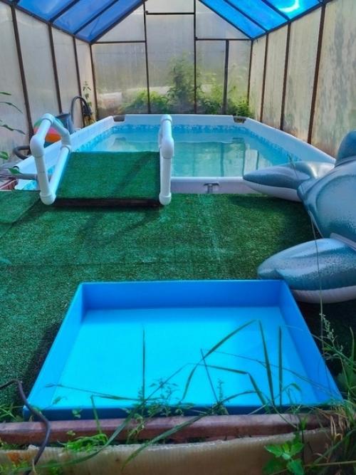 Каждый мечтает иметь свой бассейн на территории дома. 01