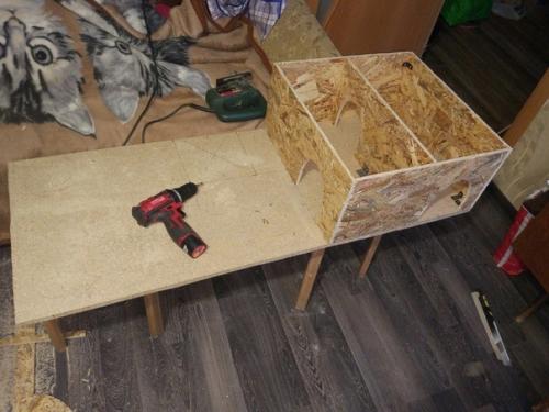 Ремонт в квартире конечно хорошо, но и о коте не стоит забывать. 01