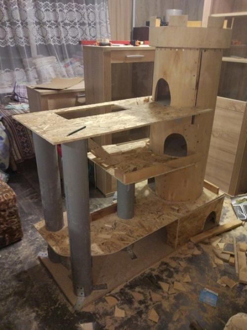 Ремонт в квартире конечно хорошо, но и о коте не стоит забывать. 06