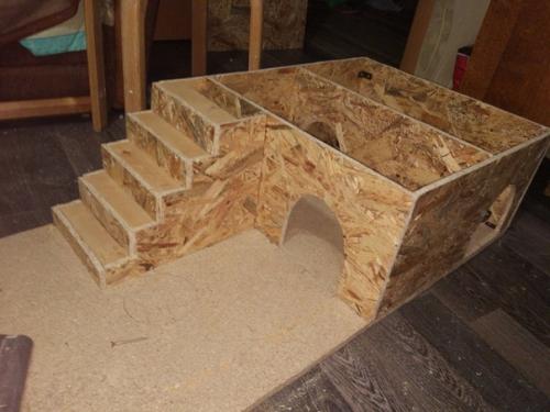 Ремонт в квартире конечно хорошо, но и о коте не стоит забывать. 03