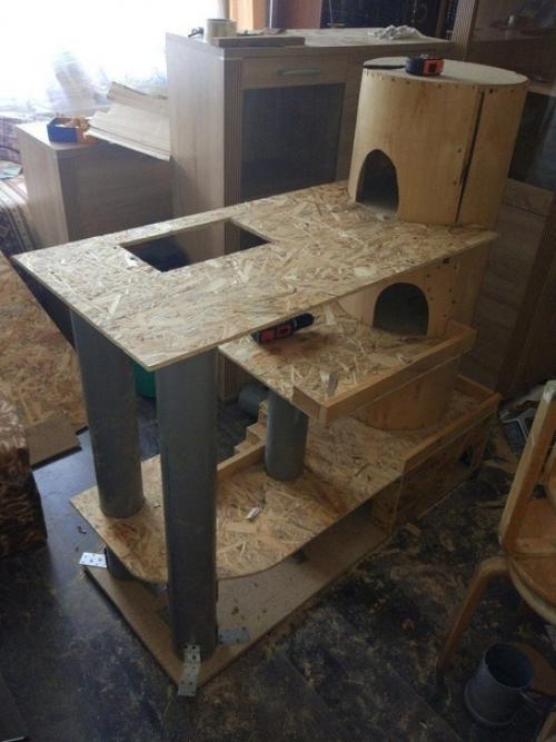 Ремонт в квартире конечно хорошо, но и о коте не стоит забывать. 05