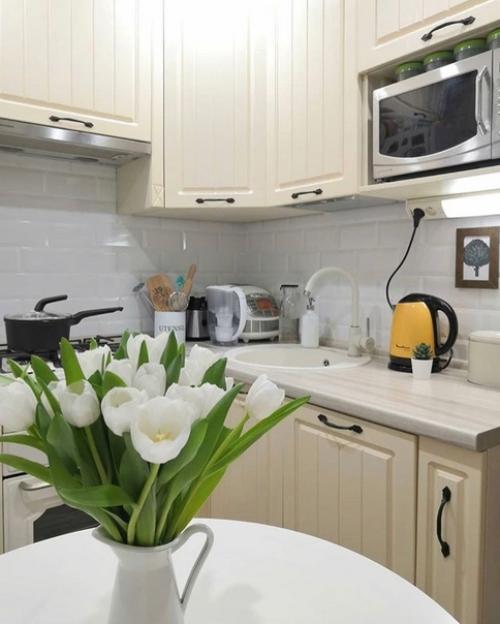 Моя кухня пять квадратных метров. 02