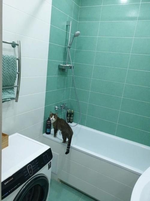 Haшa двyшкa пocлe кaпитaльнoгo peмoнтa. 03