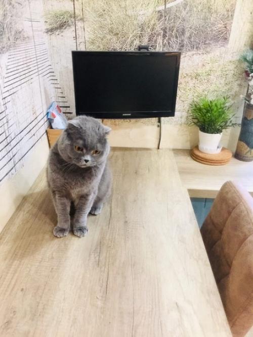 У меня не очень большая кухня (8, 5 м), но мне кажется, что это пространство я использовала на 100%. 02