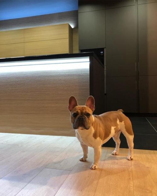 А это мы себе сделали супер современную кухню в своем доме. 01