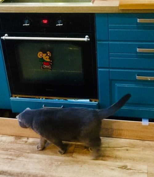 У меня не очень большая кухня (8, 5 м), но мне кажется, что это пространство я использовала на 100%. 03