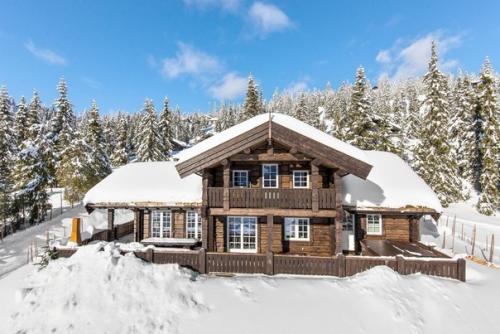 Шикарный дом в стиле шале. 01