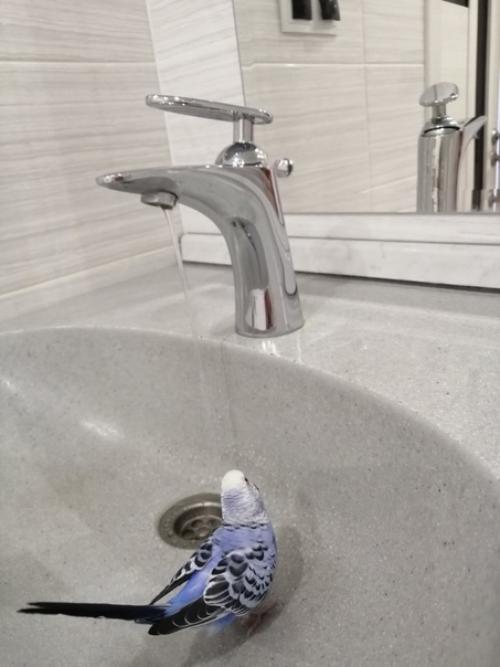 Недавно закончили ремонт нашей небольшой ванной комнаты, совмещенной с санузлом. 05