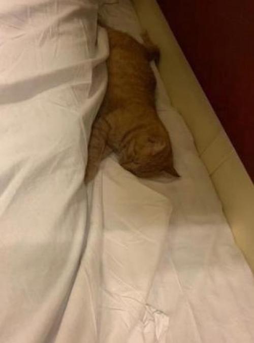 Таким соседям только радоваться можно. 02