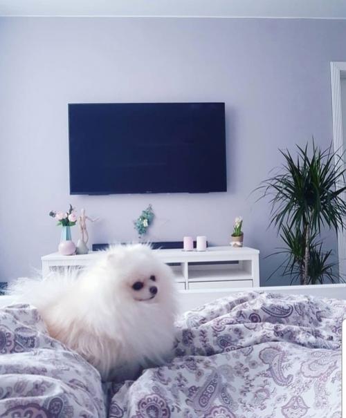 Мы потратили два месяца времени, кучу сил, денег и времени. 01