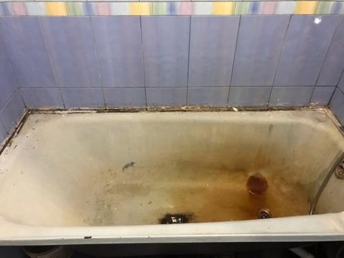 Жена сказала, чтобы я выбросил ванну и пошел купил новую, а то сил уже нет мыться в такой.