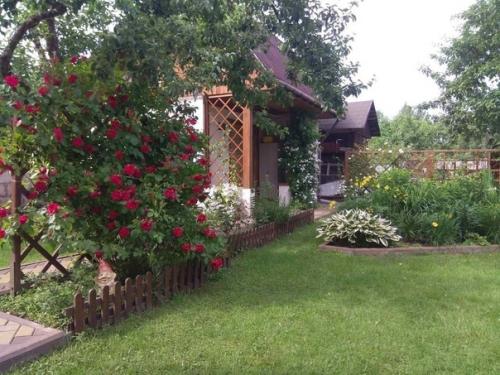 Хочу показать плоды наших усилий, длилось все это аж 8 лет по маленьку по легоньку. 06