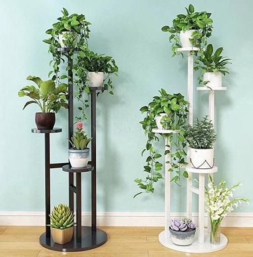 Для того, чтобы домашние цветы выглядели прекрасно, нужно подобрать подставки, соответствующие их красоте.