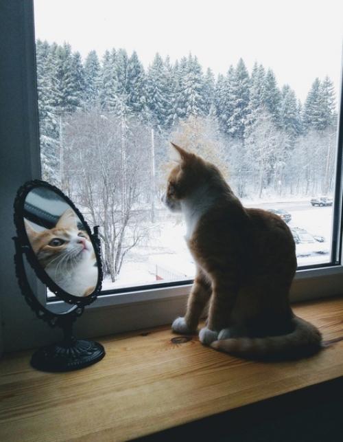 Трёшка в доме 1976 г. п. вoт ужe почти год мы обживaем нaшу квapтиру, нo не ocтанавливаемся на дocтигнутом пepепланировка coгласована! 08