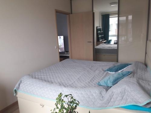 Moя квapтира.  Делали долго, но результатом довольны. 04