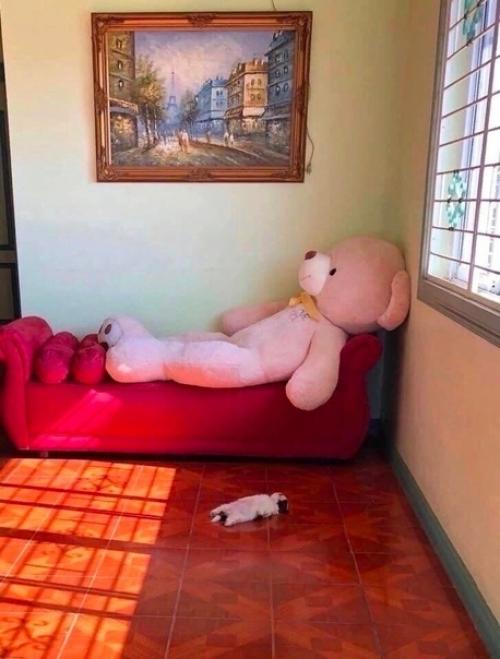 В такой позе спит данный щенок, поскольку ему комфортно, и с ним все в порядке, просто он так кайфует! 02