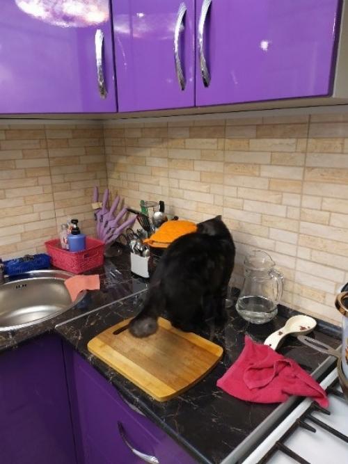 А это наша кухня и ремонт на ней. 06