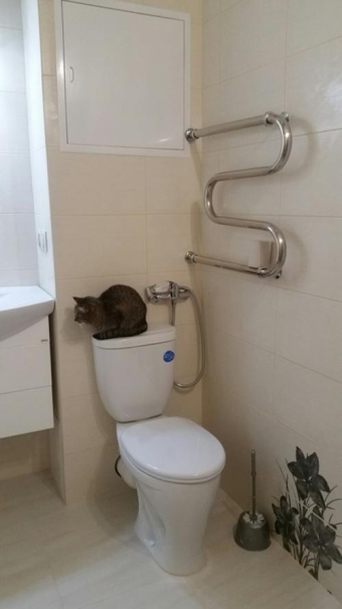 Вот так мы оформили санузел, в спокойных тонах. 03