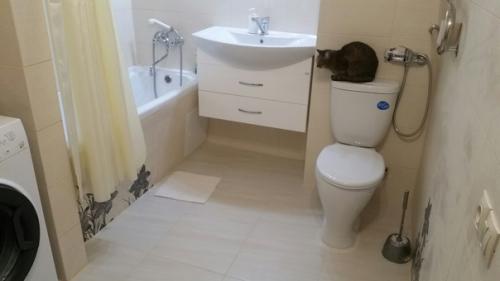 Вот так мы оформили санузел, в спокойных тонах.