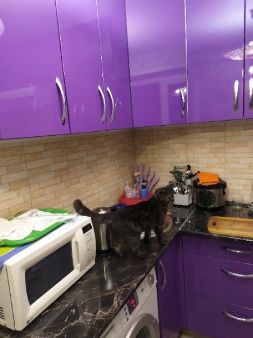 А это наша кухня и ремонт на ней. 02