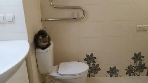 Вот так мы оформили санузел, в спокойных тонах. 01