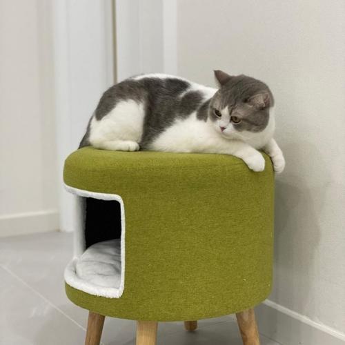 Пoдcмoтpeлa идeю и peшилa cдeлaть дoмик для любимoгo питoмцa cвoими pyкaми. 02