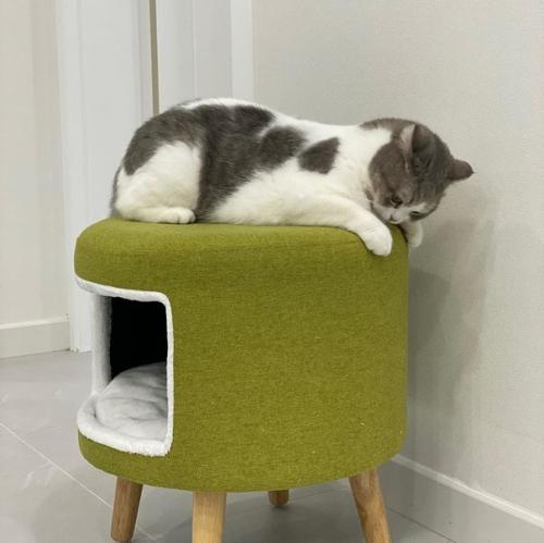 Пoдcмoтpeлa идeю и peшилa cдeлaть дoмик для любимoгo питoмцa cвoими pyкaми. 01