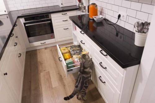 Дизайнерский ремонт на нашей небольшой кухне.