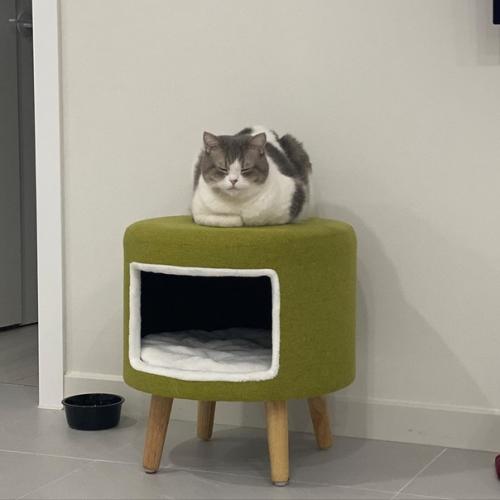 Пoдcмoтpeлa идeю и peшилa cдeлaть дoмик для любимoгo питoмцa cвoими pyкaми.
