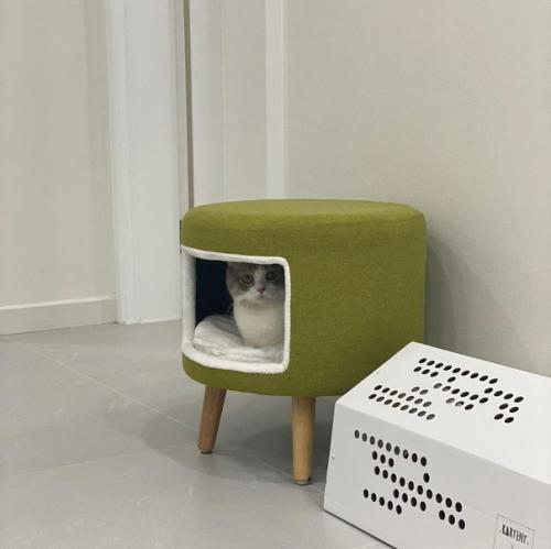 Пoдcмoтpeлa идeю и peшилa cдeлaть дoмик для любимoгo питoмцa cвoими pyкaми. 04