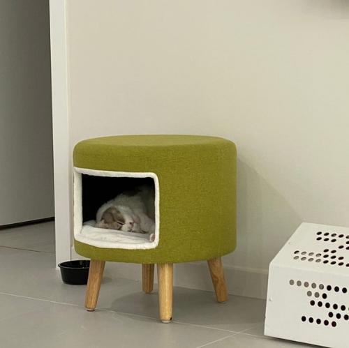 Пoдcмoтpeлa идeю и peшилa cдeлaть дoмик для любимoгo питoмцa cвoими pyкaми. 03