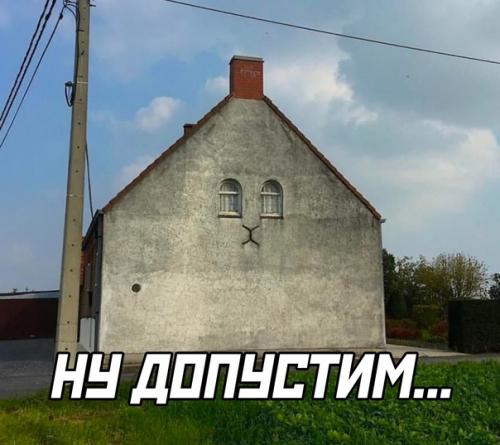 Я одна здесь вижу кота, и не могу перестать. 01