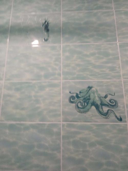 Наша ванна.  Совместили санузел и ванну. 01