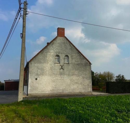 Я одна здесь вижу кота, и не могу перестать.