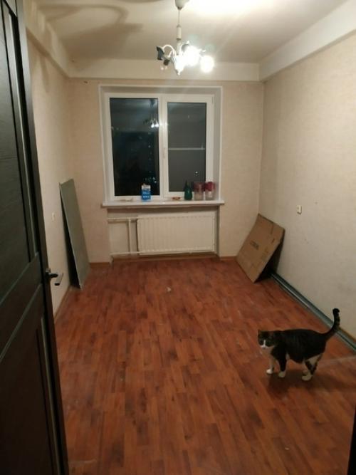 Такой вот сюрприз подготовил для своей жены, пока она лежала на сохранении. 03