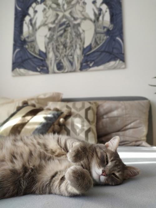 Хочу показать свой ремонт в квартире. 09