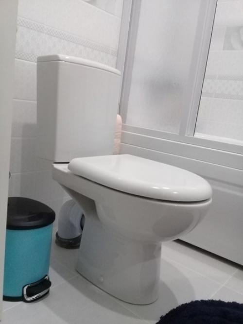 Оформление ванной комнаты в нашем частном доме. 04