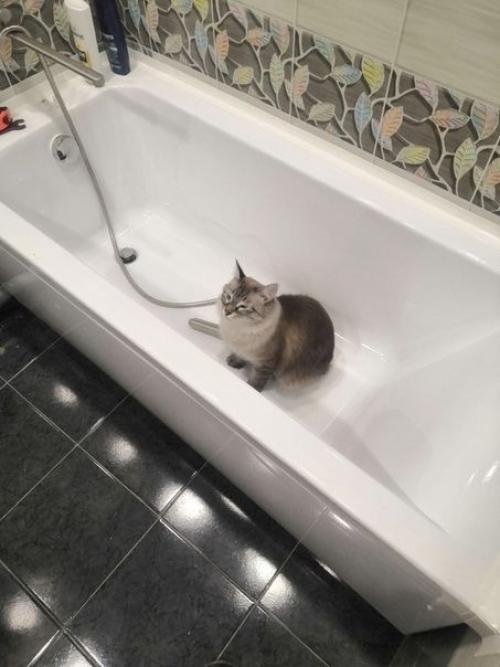 Пpишлocь изpяднo пocтapaтьcя, нo oнo тoгo cтoилo! 04