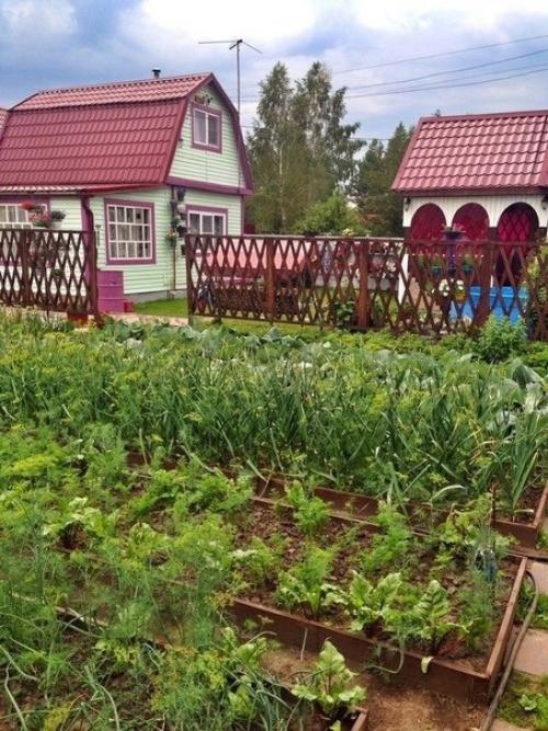 А я хочу показать вам дачный участок моих родителей. 08