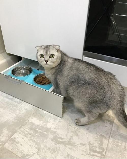 Моя функциональная кухня, чтобы не было беспорядка на ней. 04