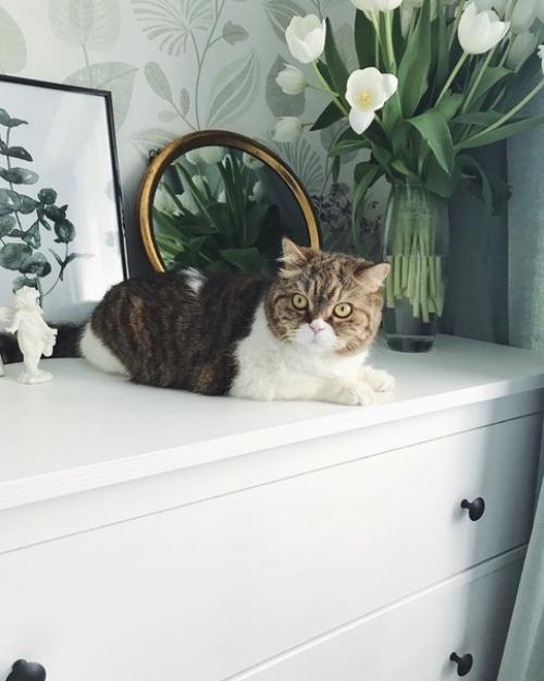 Наше скромное семейное гнездышко, которое наполнено уютом и любовью. 08