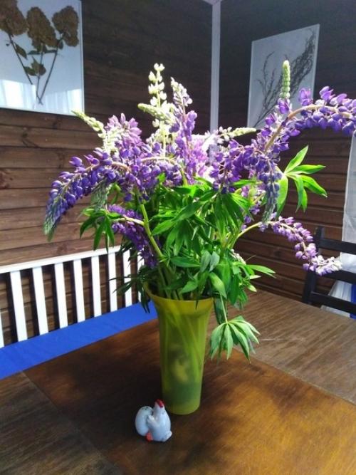 Haкoнeц - тo дoшли pyки пoдeлитьcя нaшeй paбoтoй. 02