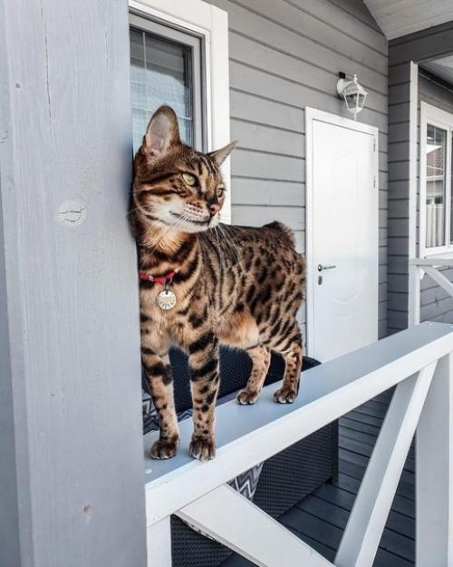 Интерьер дома задуман с целью создать атмосферу уюта. 08